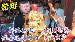 【開光啟靈】茄萣劉部堂演法｜嘉義新港林家 恩主 保安廣澤尊王 開光大典