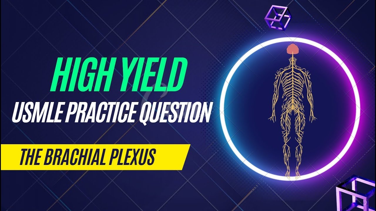 High Yield Usmle Practice Question Brachial Plexus Lesions Youtube