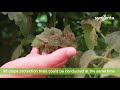 CPD Knowledge Center - Syngenta Maroc