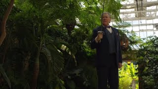 The librarians | Jenkins vs vampires