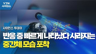 반응 중 빠르게 나타났다 사라지는 중간체 모습 포착 / YTN 사이언스