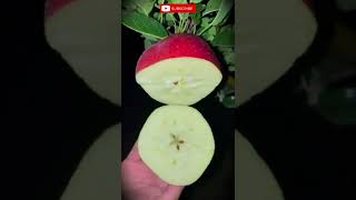 Satisfying Apple 🍎 Cutting ASRM #apple #fruit #fruits #fruitcutting #fruitjuice #viral #shorts #new