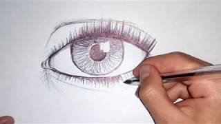 Como dibujar un ojo realista con bolígrafo paso a paso fácil - Dibujos originales