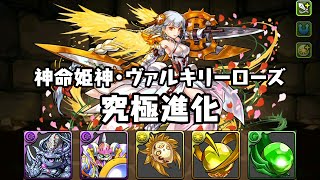 パズドラ 神命姫神・ヴァルキリーローズに究極進化してみた