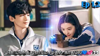 என் முதல் காதலே💞💞  chinese drama in tamil | Sk tamil voice over