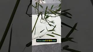 古人说的弯竿不弯节的竹子真的有？ 原创作品 经验分享 花鸟 一分钟干货教学 画画教程