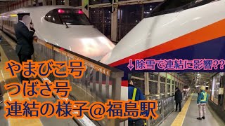 【連結】東北新幹線やまびこ・山形新幹線つばさ号連結の様子@福島駅