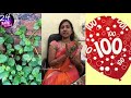 மூக்கிரட்டை மூலிகை மருத்துவ பயன்கள் mookirattai keerai benefits ashalenin latest videos