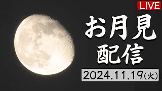 【お月見ライブ】今夜の月ライブカメラ　千葉市幕張／ 2024年11月19日(火)