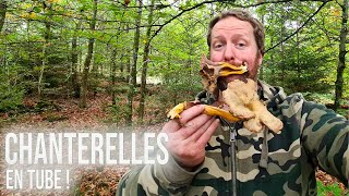 🍄 À la Recherche des Chanterelles en Tube. Elles poussent malgré la sécheresse ! 😮