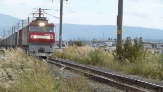 ＥＨ500-80＋コキ_貨物列車_油川～津軽宮田≪2013.11.02≫