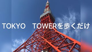 東京タワー散歩　　I walked around the Tokyo tower