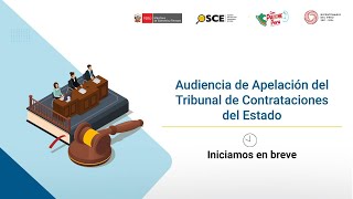 Audiencia de Apelación del Tribunal de Contrataciones del Estado.S.5.EXP.12933.2024.TCE