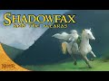 Shadowfax and the Mearas | Tolkien Explained