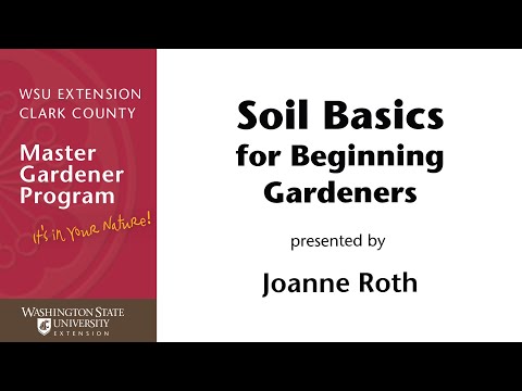 Soil Basics for Beginner Gardeners