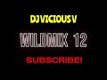 wildmix 12 house freestyle funk vicious v v3