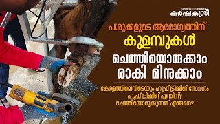 പശുക്കളുടെ കുളമ്പു സംരക്ഷണത്തിന് കേരളം മുഴുവൻ സഞ്ചരിക്കുന്ന ഹൂഫ് ട്രിമ്മിങ് സ്പെഷലിസ്റ്റ്