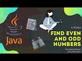 Find even and odd numbers, using java stream | Java Programming