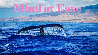 Whale Sound | Ambient Music | Underwater Sound
