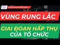 Chứng Khoán Hôm Nay | Nhận Định Thị Trường : Vùng Rung Lắc, Giai Đoạn Tổ Chức Hấp Thụ Lượng Cung