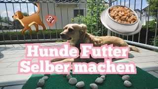 Hunde Futter selbst machen 🐕