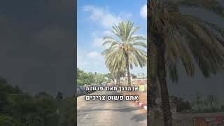 הפקולטה לאמנויות - המדרשה