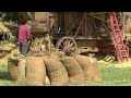 steam thrashing at weeting steam rally 2024