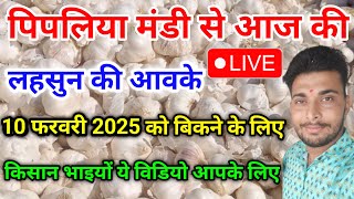 नई लहसुन की आवके पिपलिया मंडी से लाइव today garlic arrival Pipliya Mandi