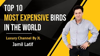 Top 10 Most Expensive Birds in the World | Luxury Channel By JL