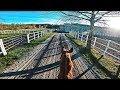 STUNNING 70 Km/H Fast Gallop training Procedure Routine | Pretorian | GoPro