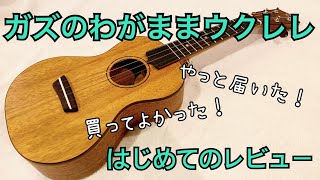 【ウクレレレビュー】ガズのわがままウクレレ到着！初めてのレビューに挑戦