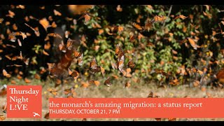 The Monarch’s Amazing Migration: a Status Report