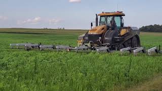 Weed Zapping ontop of organic food grade soybeans