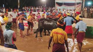 Kambala Naringana Ullala Mangalore 2023