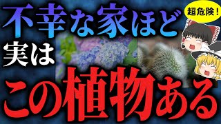 【超危険】邪気を呼び、貧乏や不幸になる家にはこの植物があった！？悪運を引き寄せる観葉植物【ゆっくりスピリチュアル】