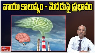 వాయు కాలుష్యం - మెదడుపై ప్రభావం l Air Pollution - Effects on the Brain l hmtv Health