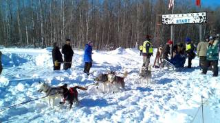 Blake Freking 10-Dog Pro Team @ 2011 White Oak Classic Sled Dog Race