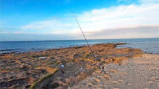 魚が集まる岩場、夜になると現れる謎の大物に挑んだ結果…【タマン3連発】