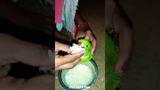 ମିଟୁ ଆଜି ଭାତ ଖାଇଲା \\\\ parrot #ytshorts #shorts #viral #shortvideo #mayurbhanj #litun_digital