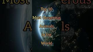 top 10 most dangerous animals in the world #short #trending #animals