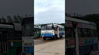 #tiruvuru #bus #station #andrapradesh #youtubeshorts #subscribers #viral #apsrtcbus #rtc #shere