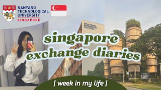 studying abroad in singapore | campus, beach day, exploring downtown