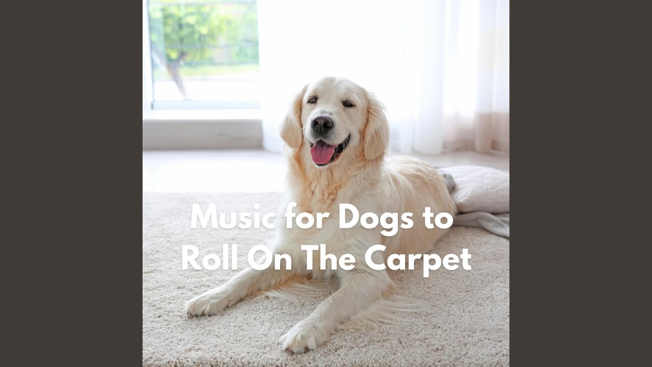 Hypnotic Doggy Discoveries Youtube