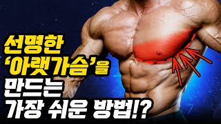 아랫 가슴을 꽉 채우는 간단한 방법?! [바벨 딥스/케이블 플라이/가슴 운동 루틴]