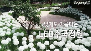 매일이 수국축제~ 자연광 아래 아름다운 LED수국 (ver.Daytime) LED Hydrangea SegangLED