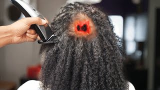 Woman Refused To Comb Hair For One Year, Then Hairdresser Spots The Shocking Reason