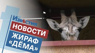 Трёхметровый Дёма поселился в Харьковском зоопарке