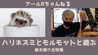 【栃木】動物さんと戯れ、チーズ・ソーセージ作りを体験するアールR氏