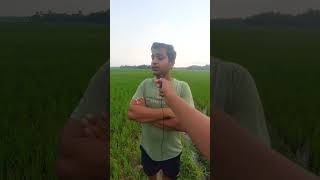 #viral shorts/ଆମେ ଭାଙ୍ଗିଲୁ BMW CAR #viral #shortvideo