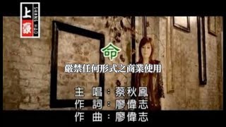 蔡秋鳳-命(官方KTV版)